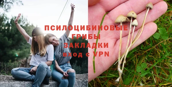 кокаин премиум Алексеевка