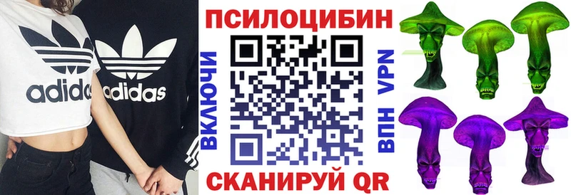 Галлюциногенные грибы MAGIC MUSHROOMS  Галич 